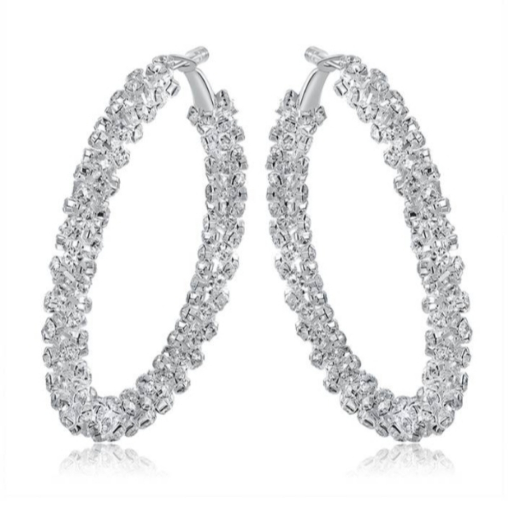 Large Hoop Earrings